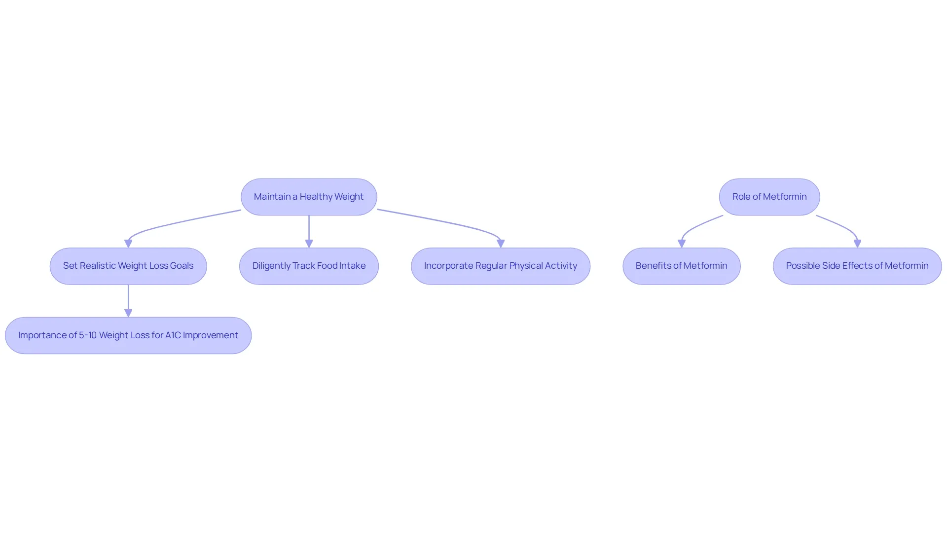 Each box represents a strategy for weight management, with arrows indicating the flow and connection between steps. Side notes provide additional context on Metformin and its effects.