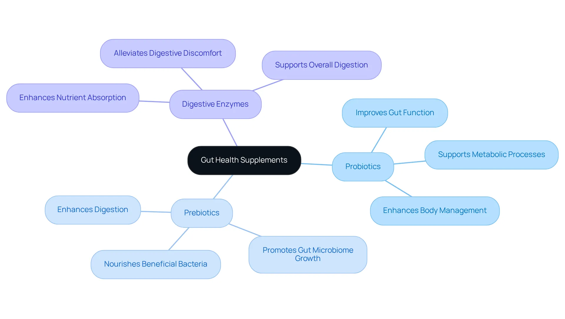 In this mindmap, the center represents gut health supplements, with branches showing different ingredients. Each ingredient branch includes benefits, illustrating how they contribute to overall gut wellness and effective weight management.