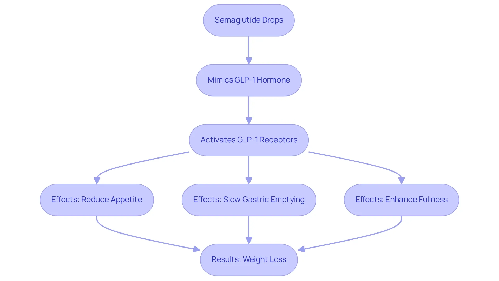 Follow the arrows to see how semaglutide drops work. Starting from the drops, they mimic a hormone, activate receptors, and lead to effects that help with weight loss.