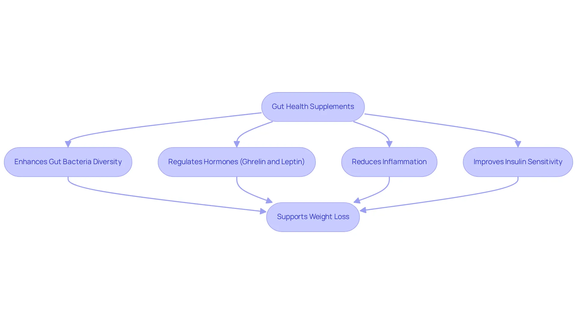 This flowchart shows how gut health supplements work: starting with the supplements, follow the arrows to see how they help improve gut bacteria, regulate appetite hormones, reduce inflammation, and ultimately support weight loss.